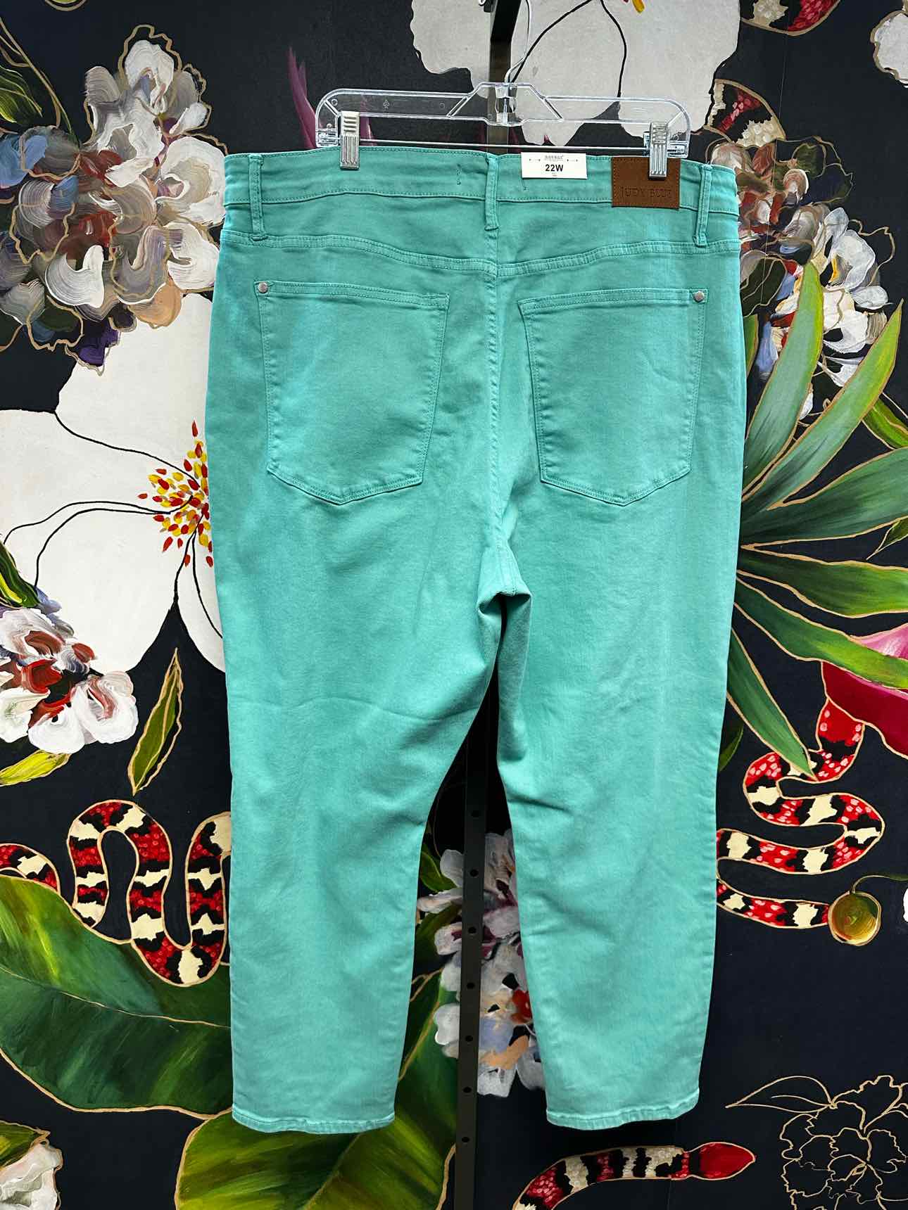 Judy Blue Size 22W Aqua Pants