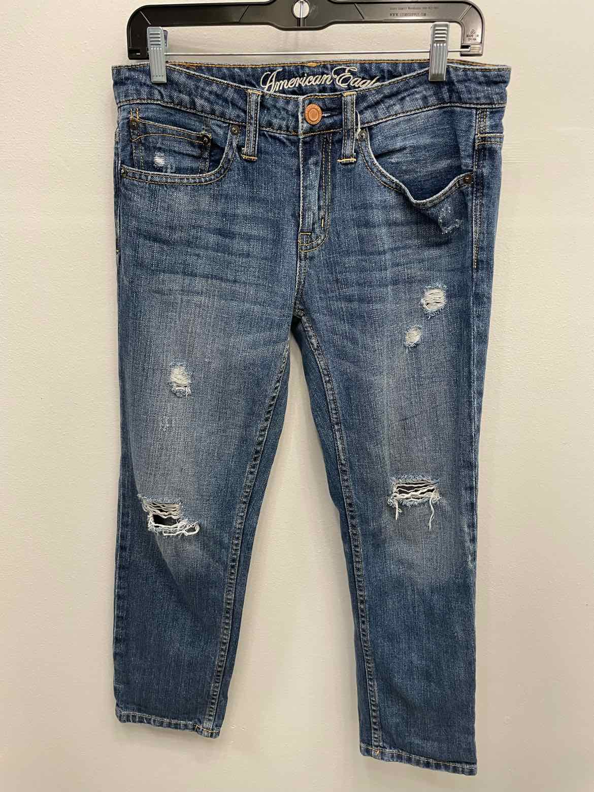 American Eagle Size 2 Denim Jeans