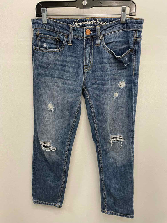 American Eagle Size 2 Denim Jeans