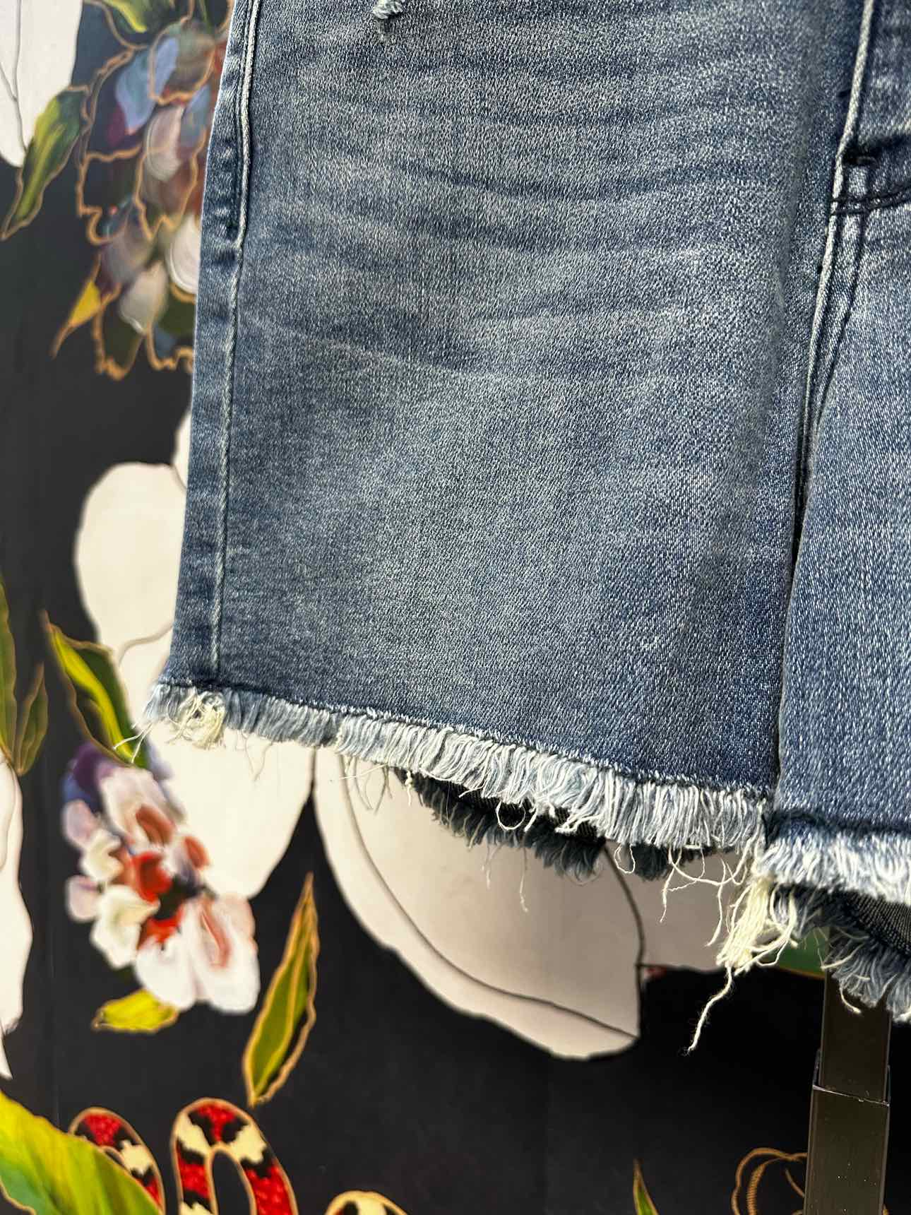 Judy Blue High Waist V-Front with Shield Pockets Frayed Hem Shorts