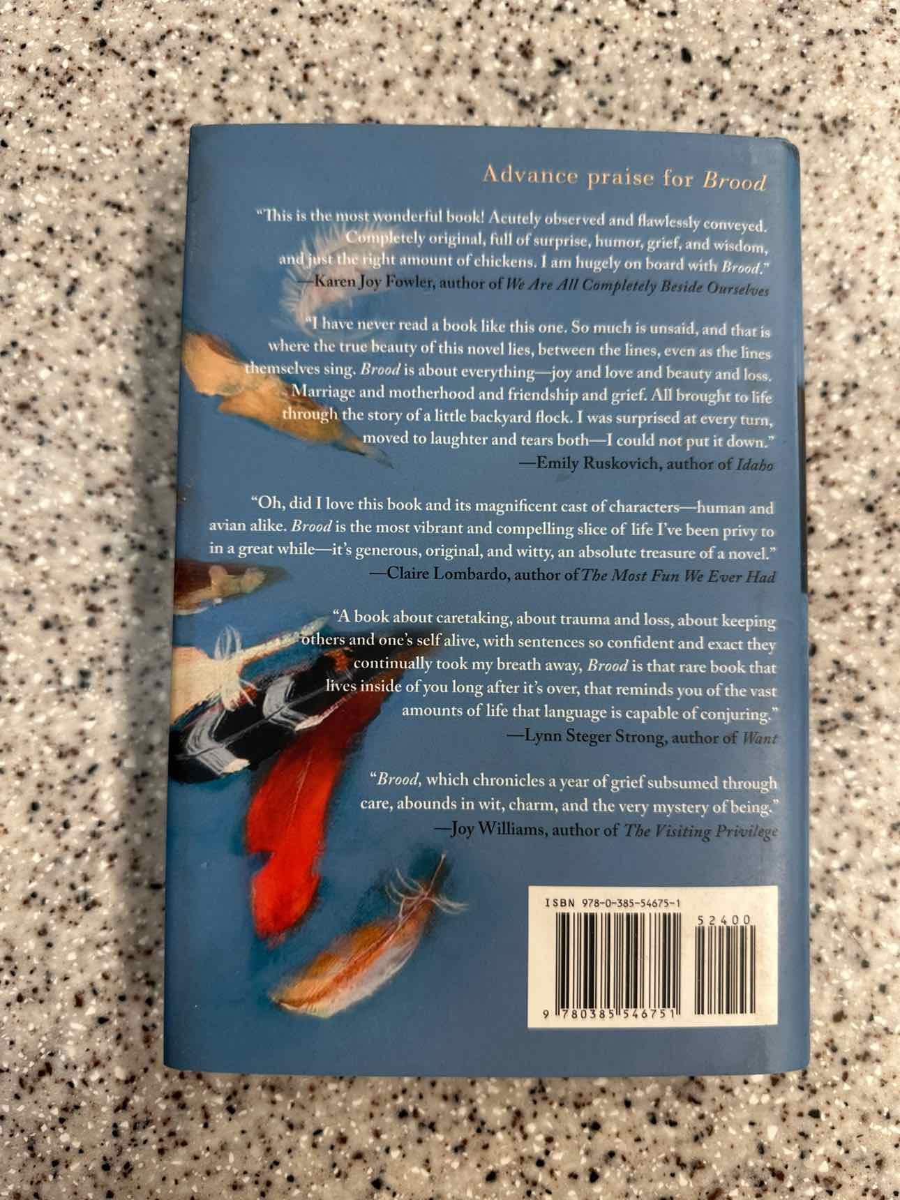 Brood by Jackie Polzin Hardcover Book