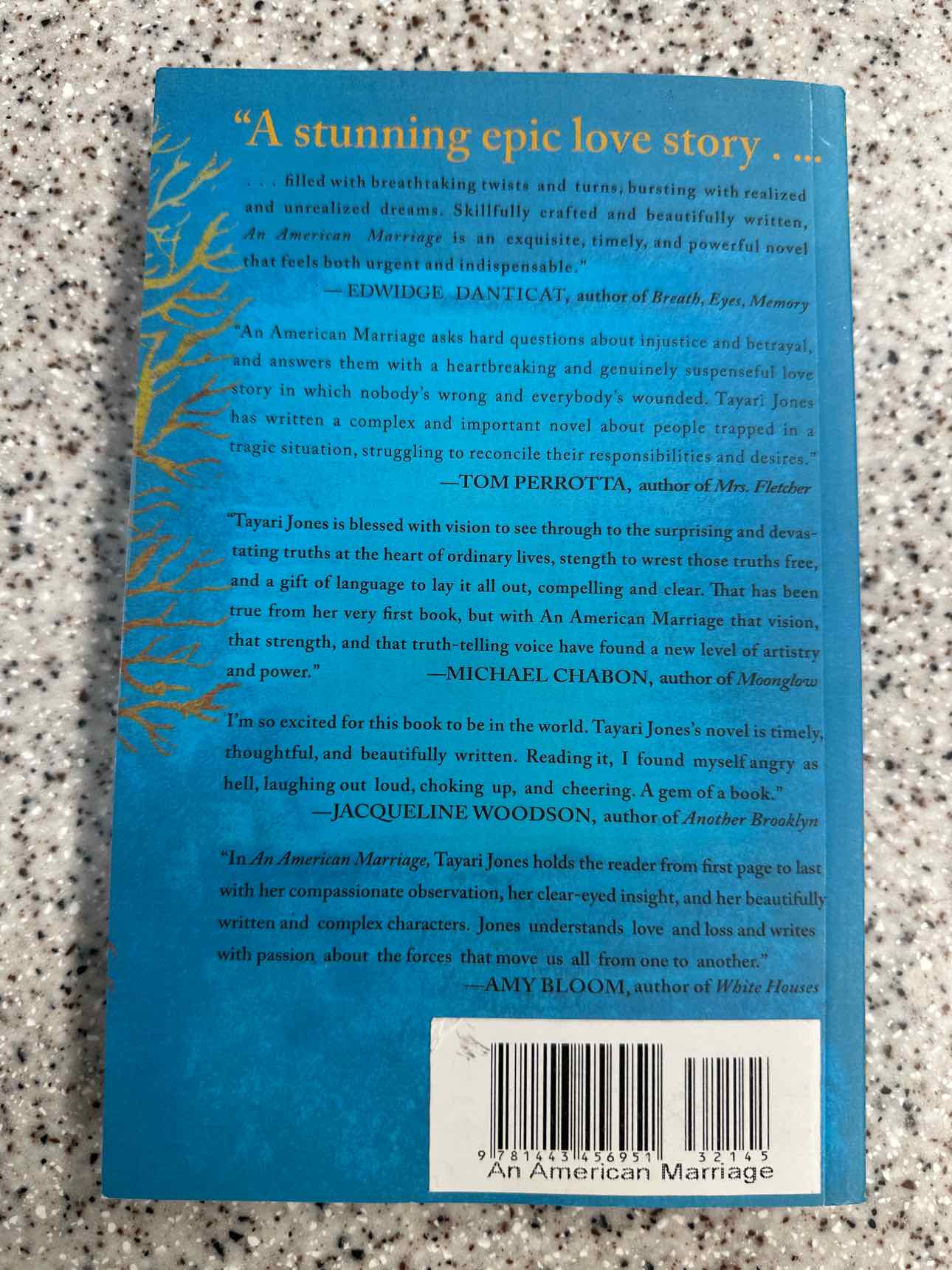 An American Marriage by Tayari Jones (paperback)