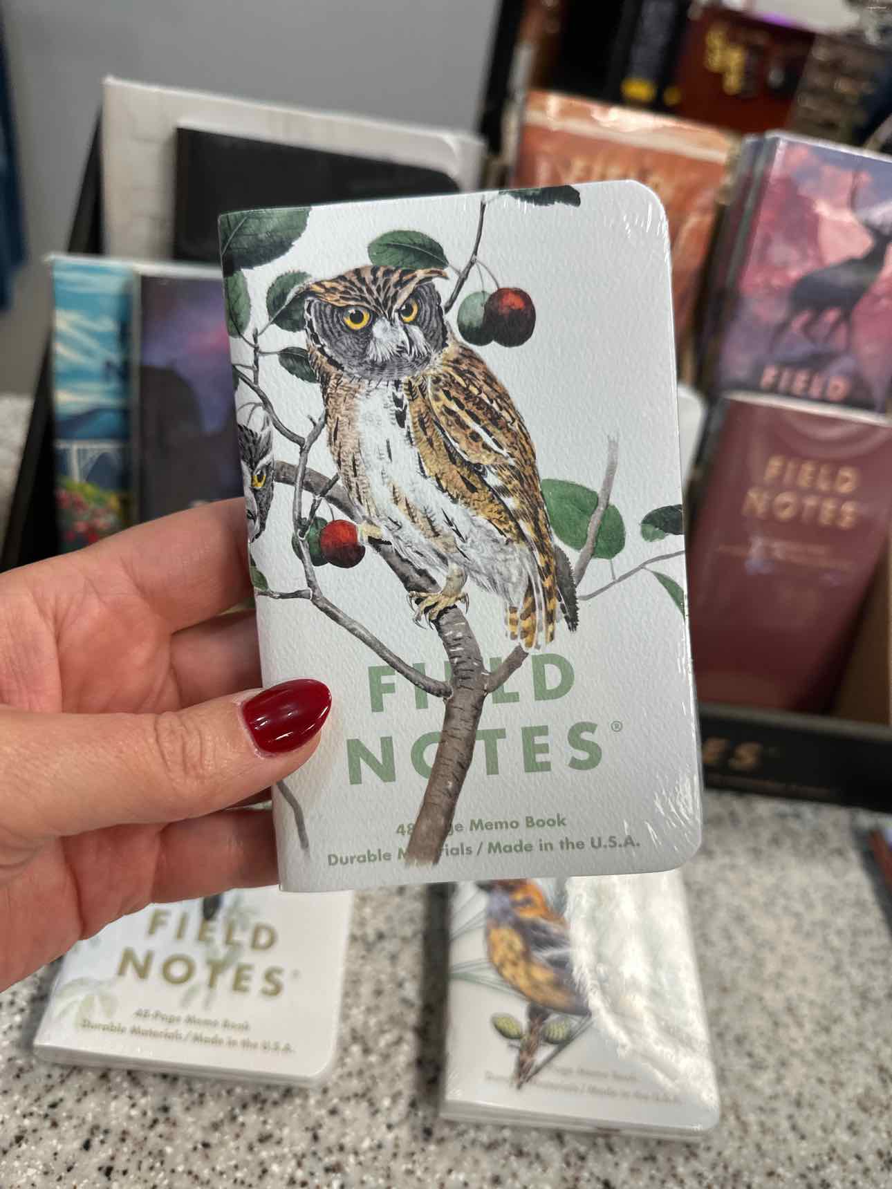 Field Notes Stationary