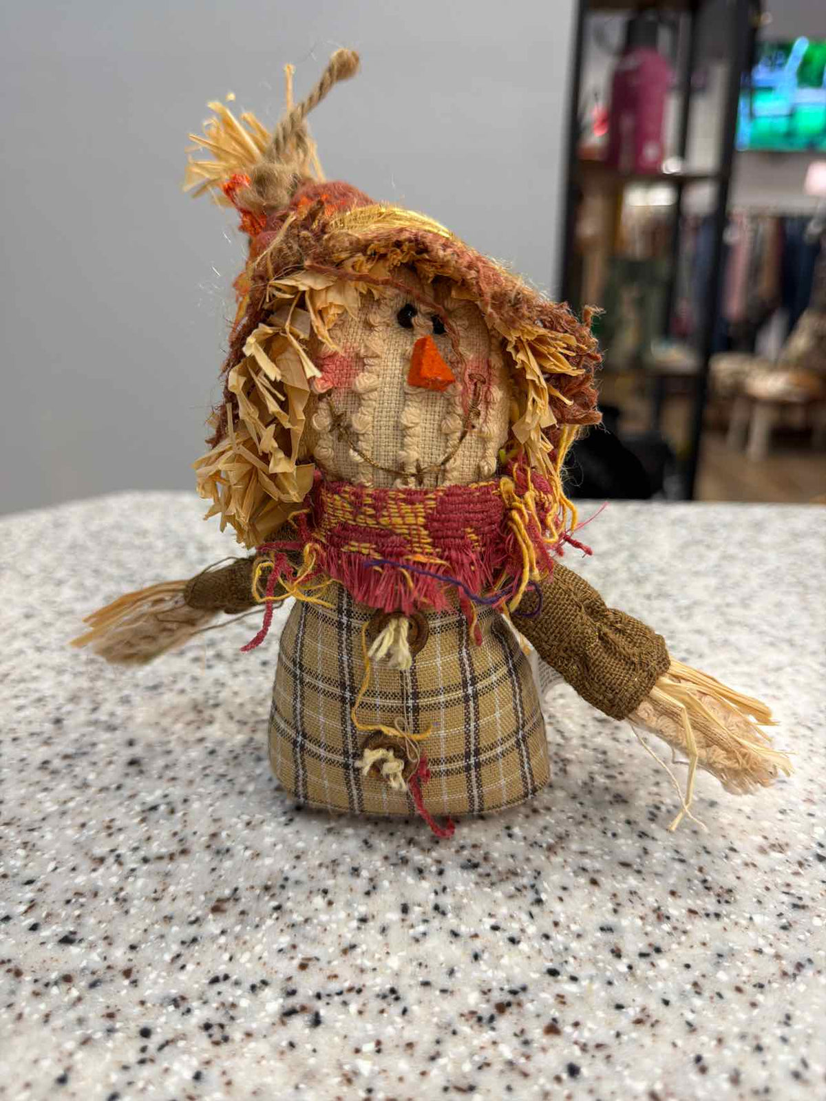 Fall Stuffed Chenille 8" Scarecrow Home Decor