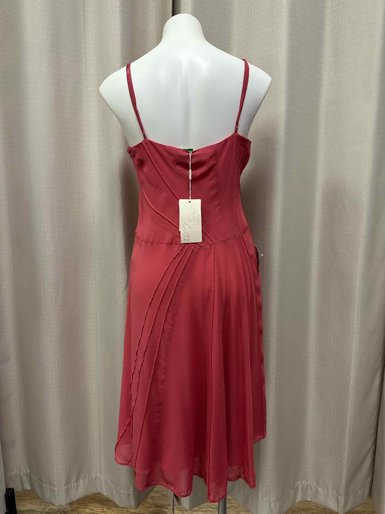 Coast NEW NWT Pleated Crochet Floral Decor Knee Length Size 16 Pink Dress