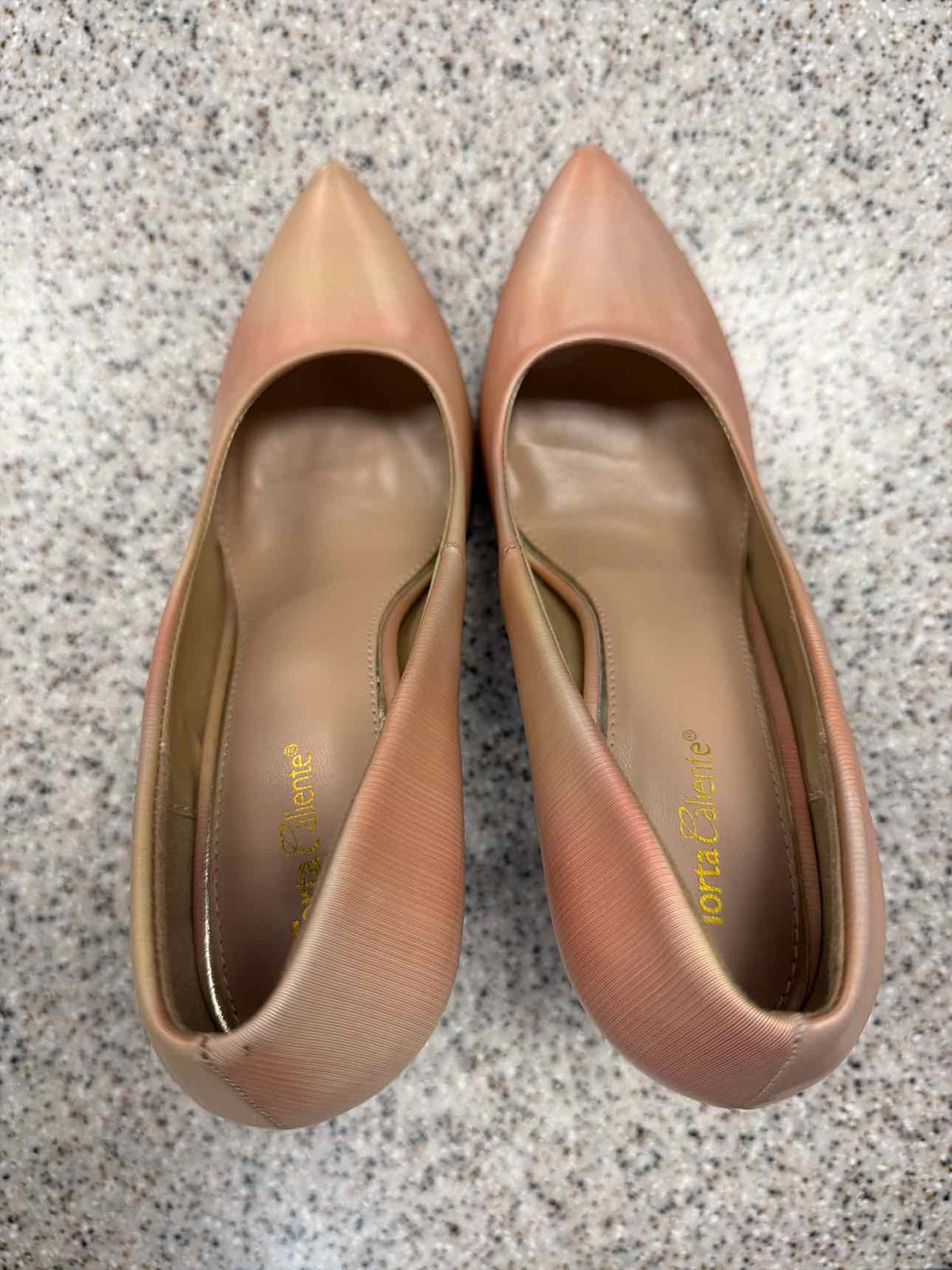 Torta Caliente Pink Gradient Pointed-Toe Stiletto Pumps Size 9