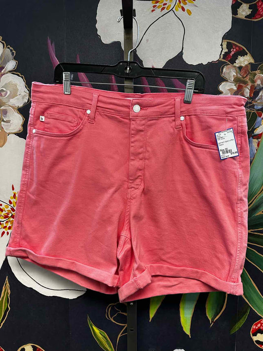 Judy Blue Size 3X Pink Shorts