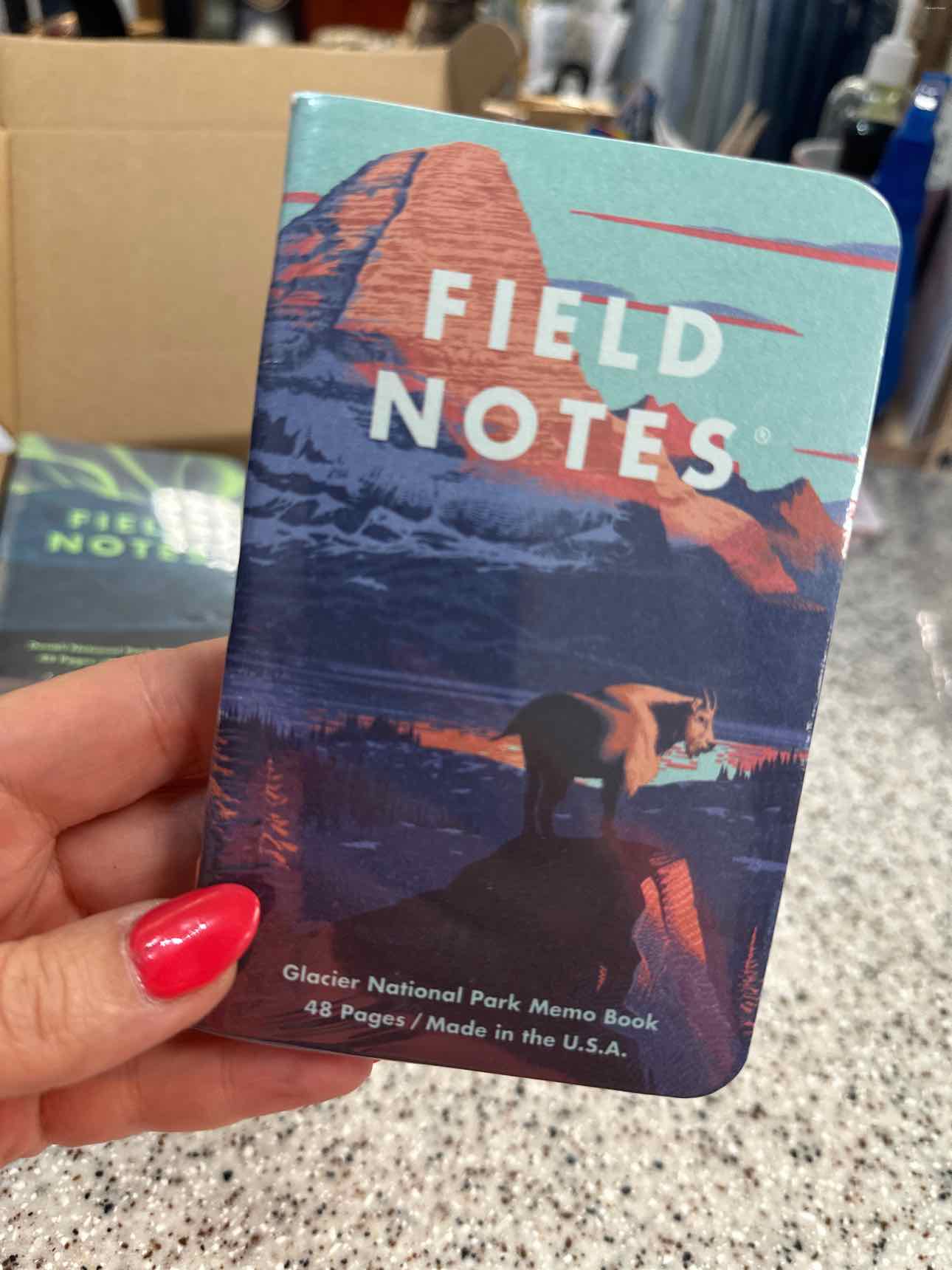 Field Notes National Parks Series D Stationary