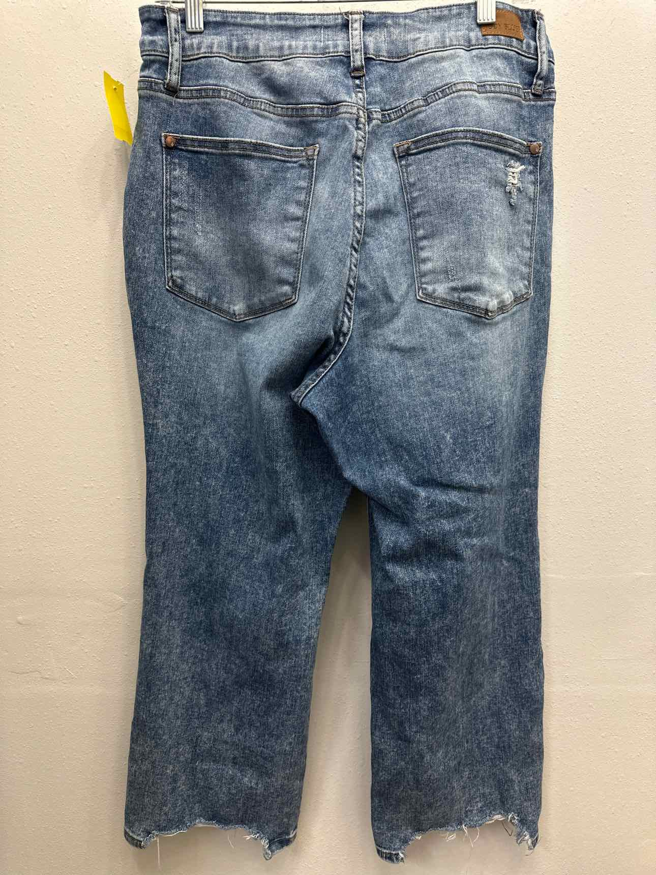 Judy Blue Size 14W Medium Wash capris