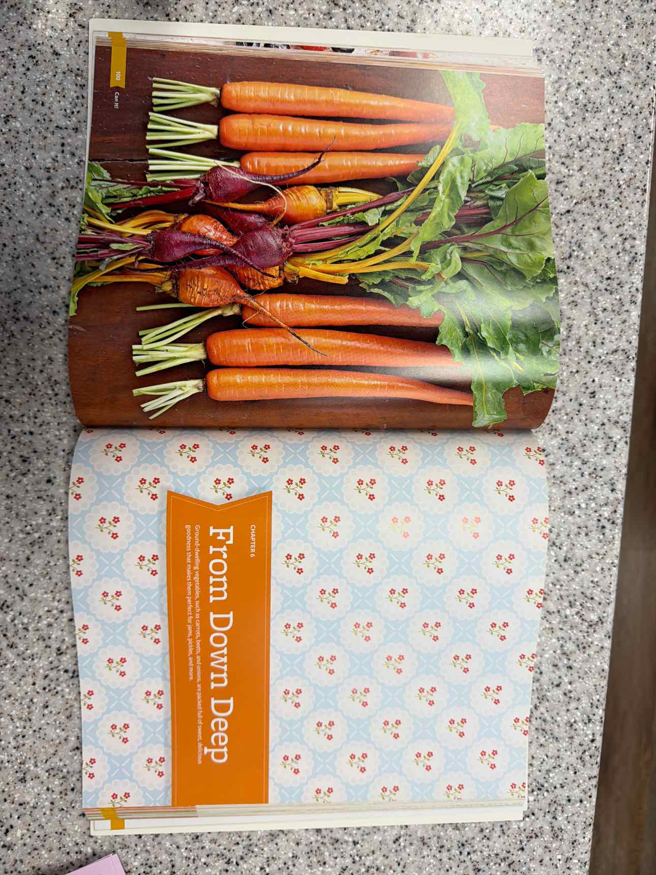 Can It! Fresh Flavor Techniques for Home Canning Book