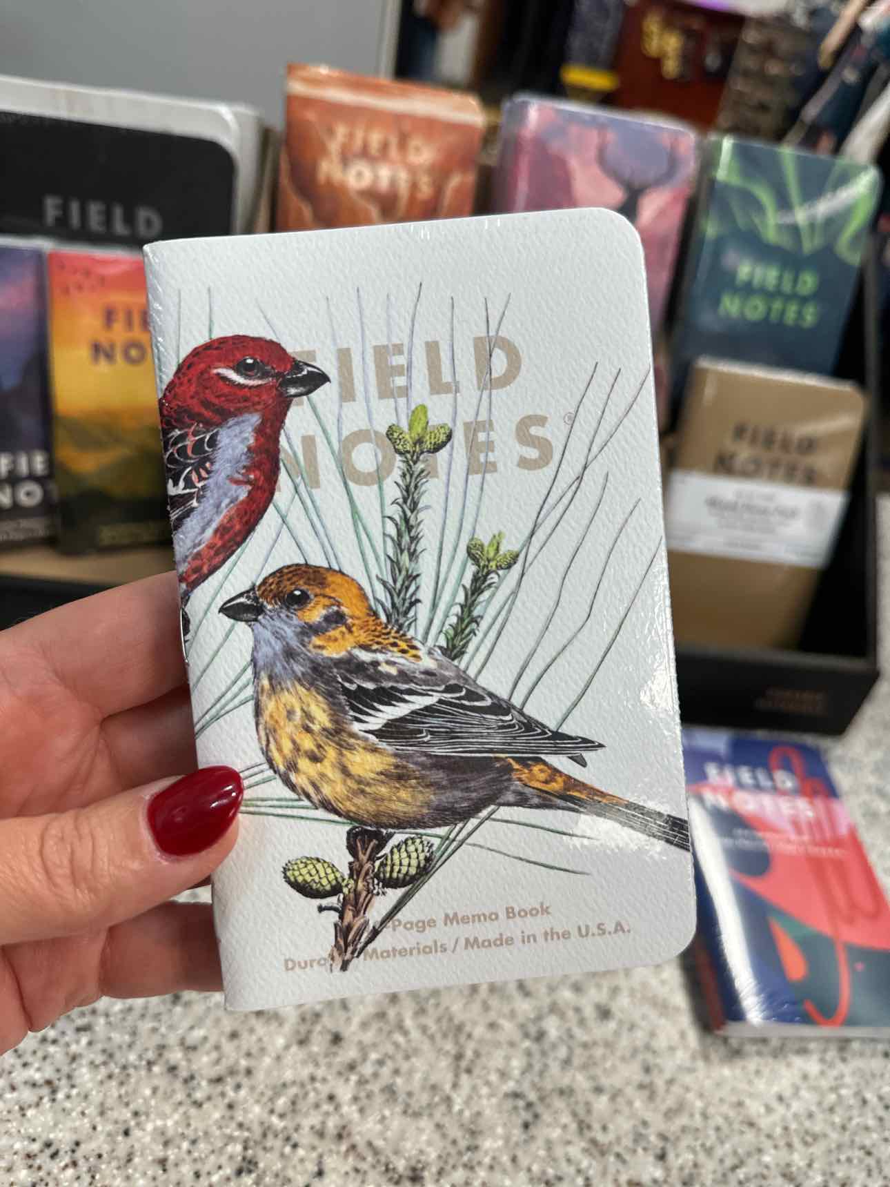 Field Notes Stationary