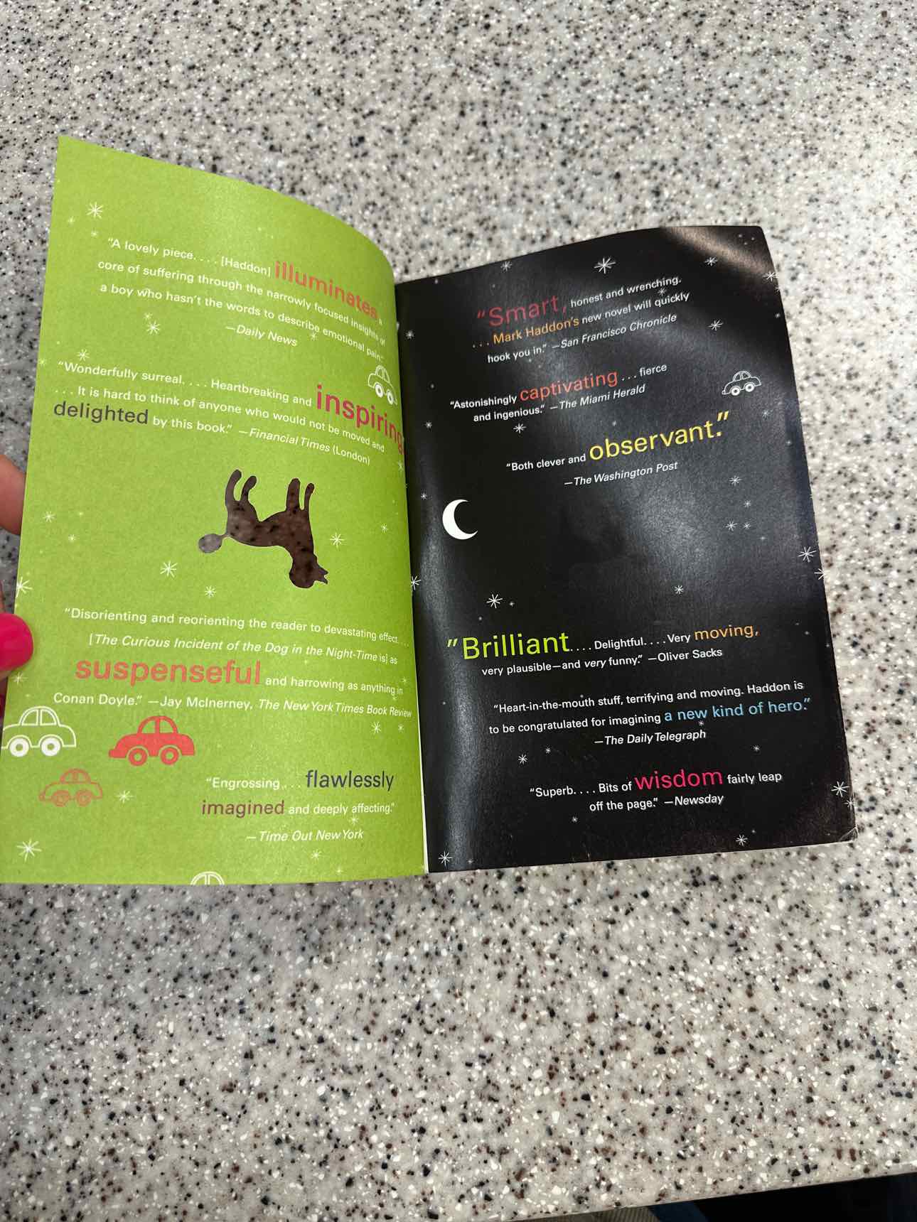 The Curious Incident of the Dog in the Night-Time by Mark Haddon Paperback Book