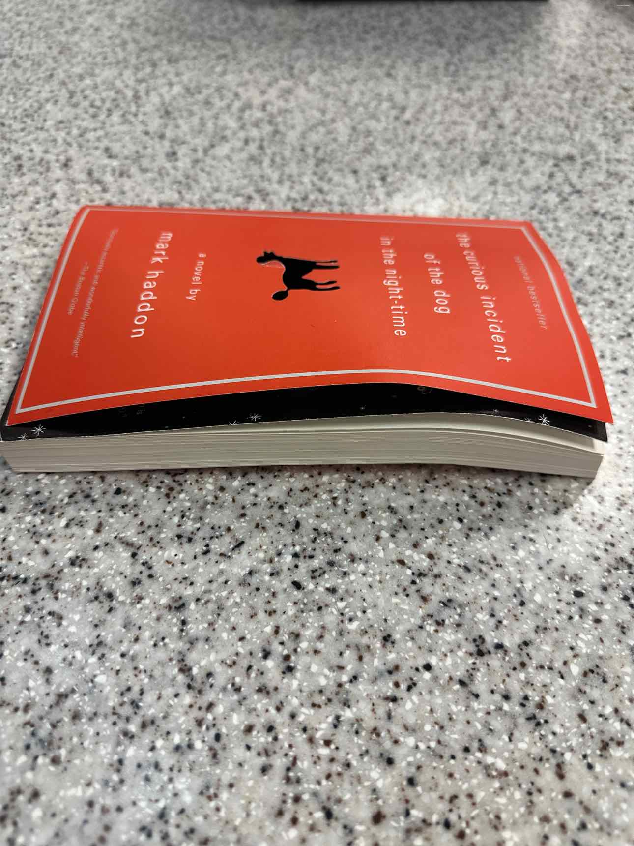 The Curious Incident of the Dog in the Night-Time by Mark Haddon Paperback Book