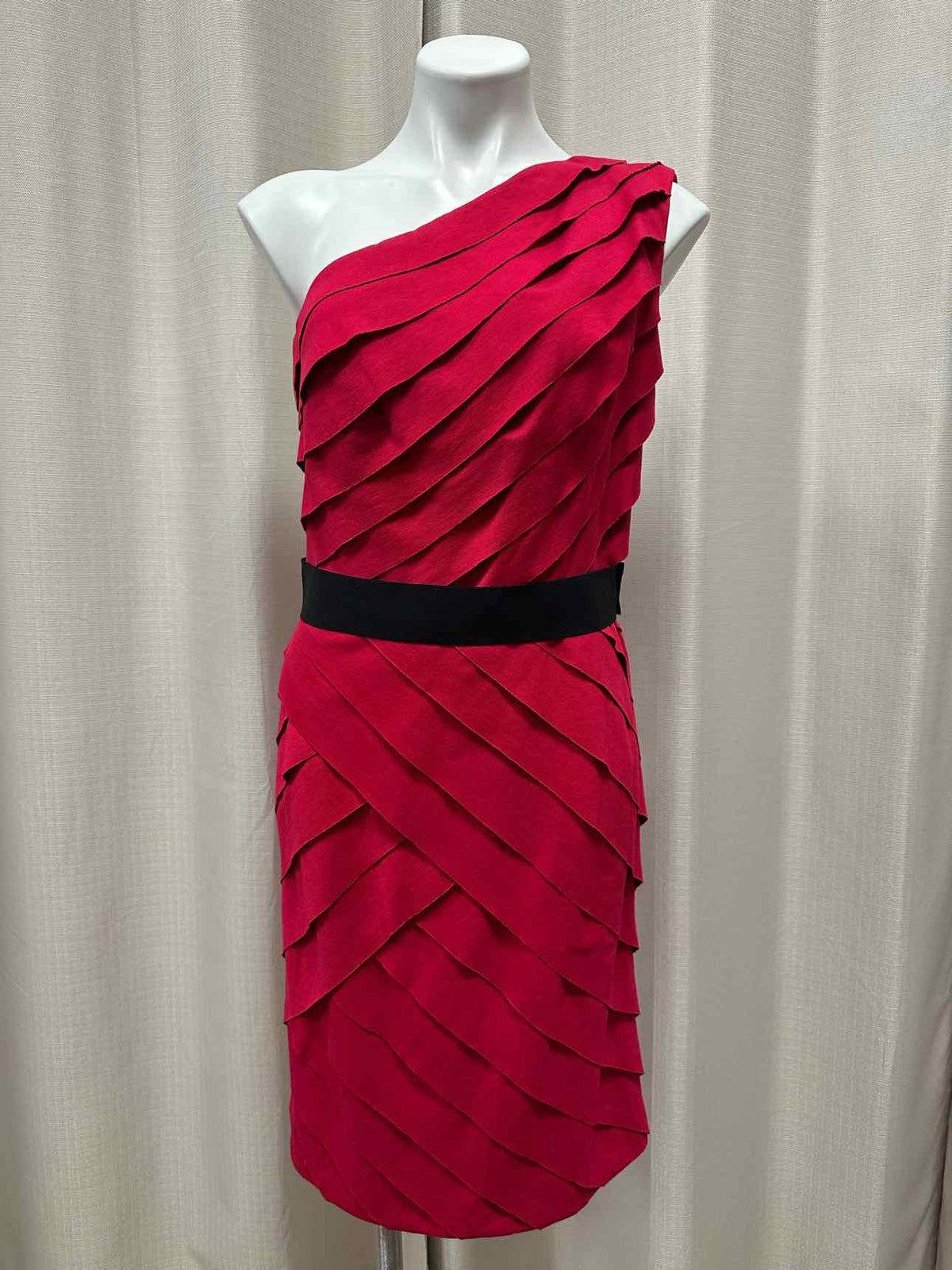 Tadashi Ruffle Lined Single Shoulder Belted Size XL Raspberry Dress