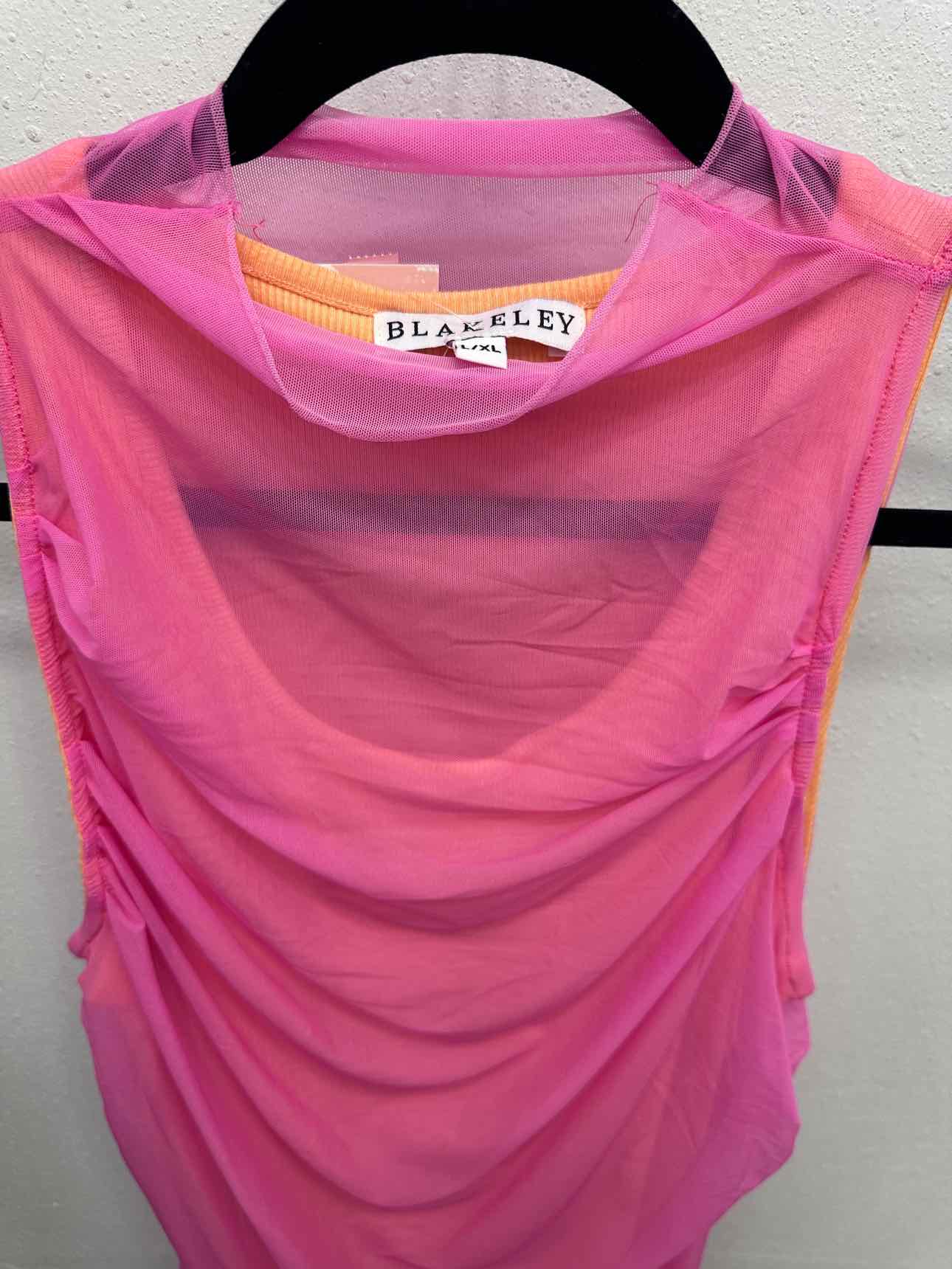 Kirstie Sheer Mesh Top with Underlayer Tank Top