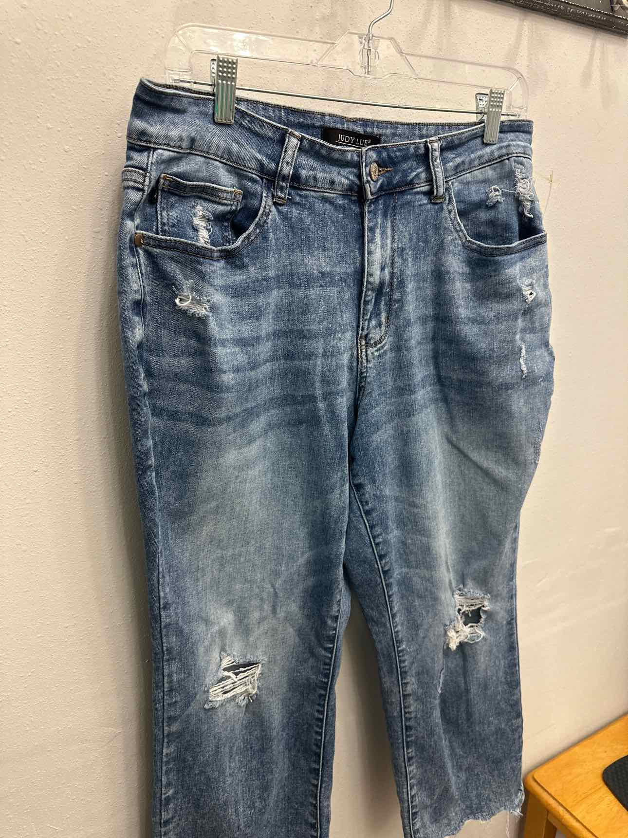 Judy Blue Size 14W Medium Wash capris
