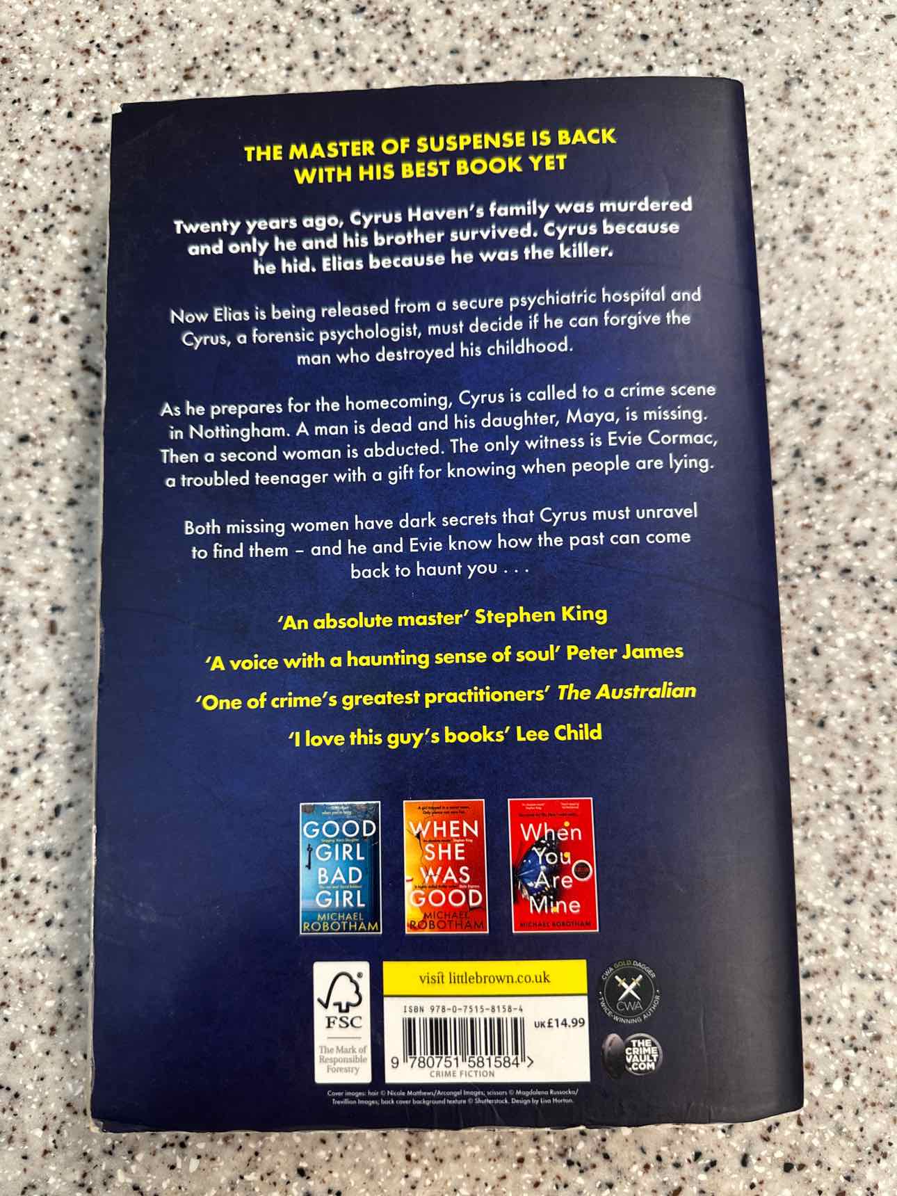Lying Beside You by Michael Robotham (Paperback) Book