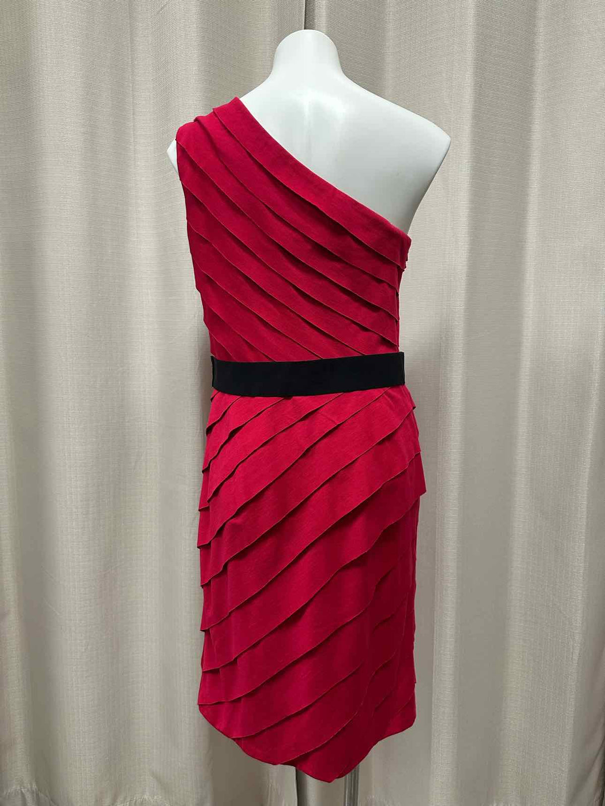 Tadashi Ruffle Lined Single Shoulder Belted Size XL Raspberry Dress