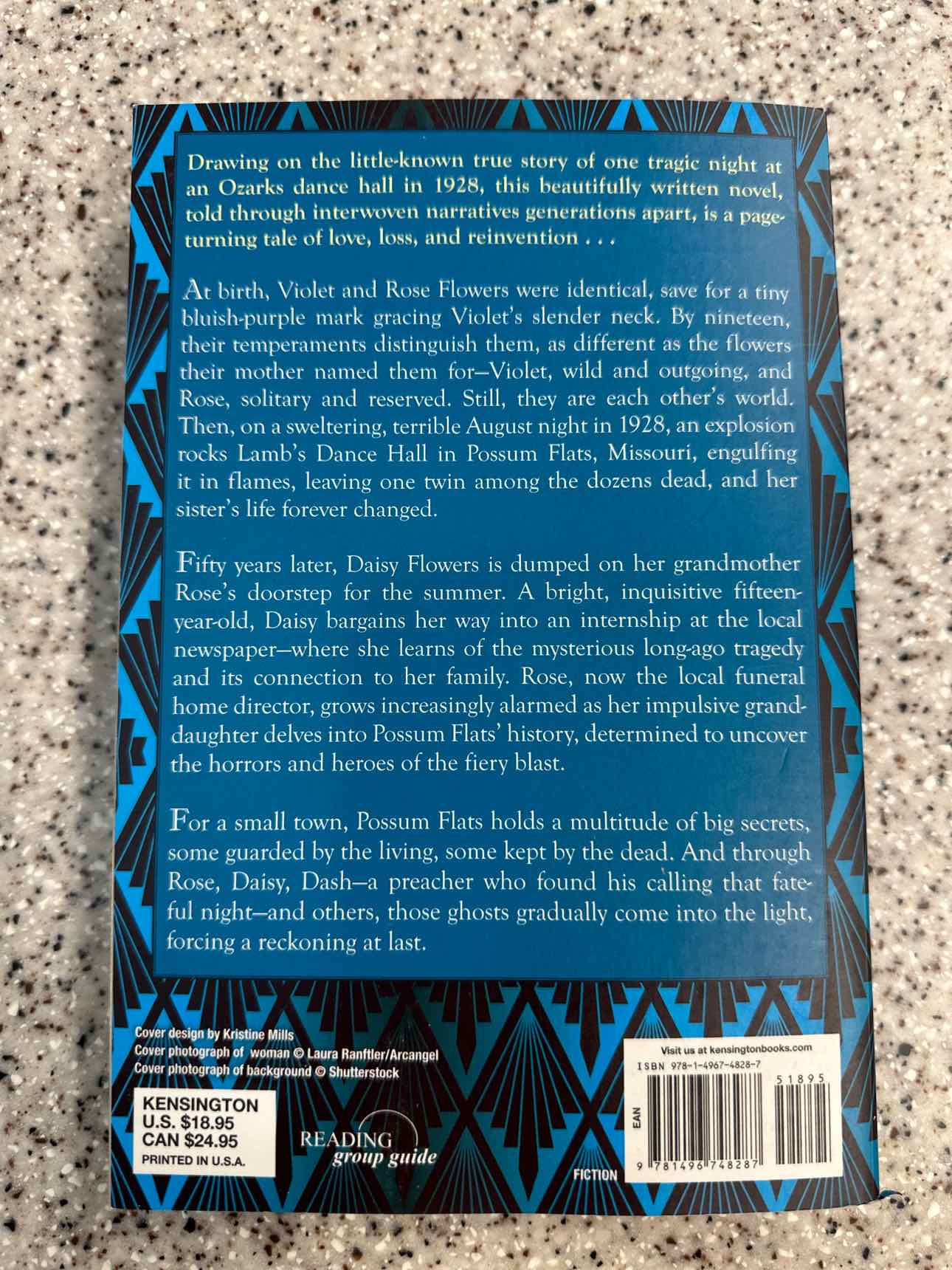 The Flower Sisters by Michelle Collins Anderson (paperback)
